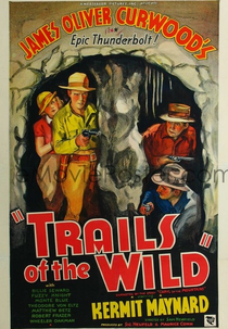 Caverna dos Fantasmas (Trails of the Wild)