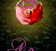 A Rosa