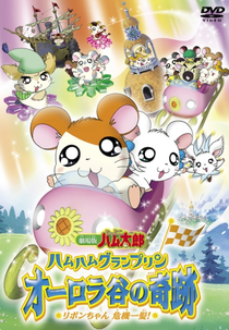Hamtaro: Miracle in Aurora Valley (Gekijô ban Tottoko Hamutaro: Ôrora no kiseki - Ribon chan kiki ippatsu!)