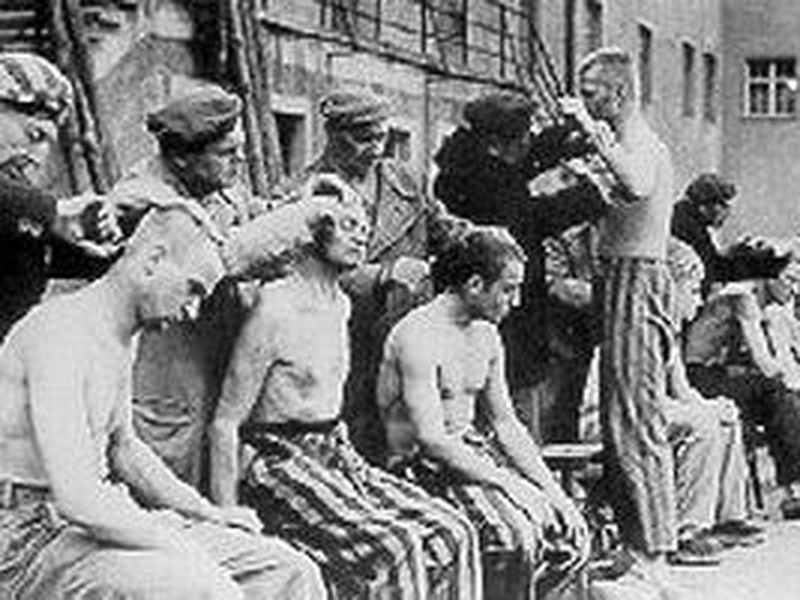 Foto 8 de Naked Among Wolves