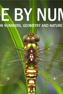 Nature By Numbers - Poster / Capa / Cartaz - Oficial 1