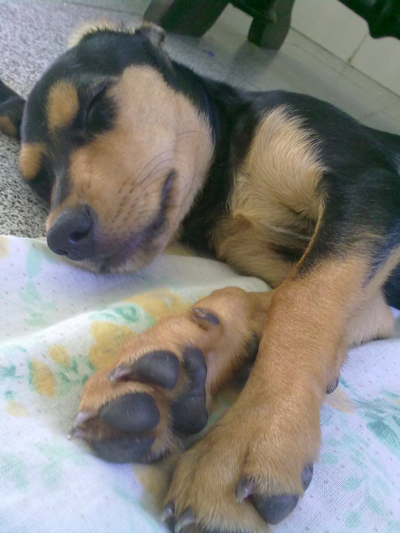 Carlos Vinicius Barboza Olivei - Foto 2