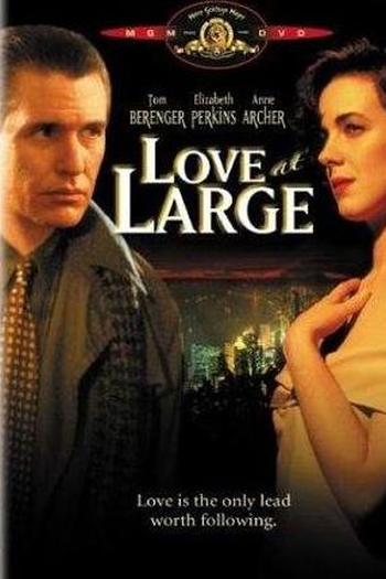  de Filme Armadilhas do Amor (1990)