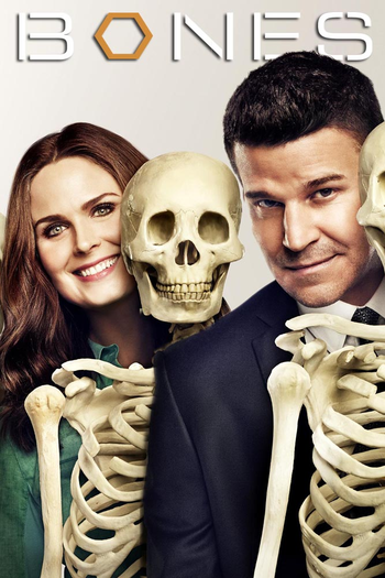 Poster de Franquia Bones (2005)