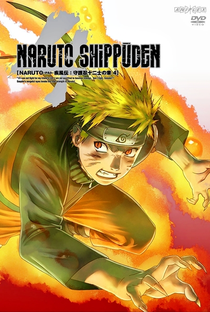 Naruto Shippuden (3ª Temporada) - Poster / Capa / Cartaz - Oficial 2