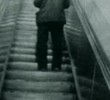Passage du thermomètre