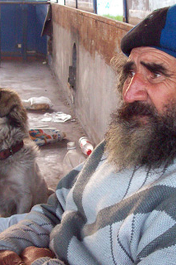 Poster de Filme Meu Companheiro (2010)