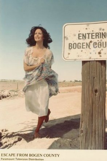 Poster de Filme A Fuga do Condado de Bogen (1977)