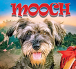 Mooch