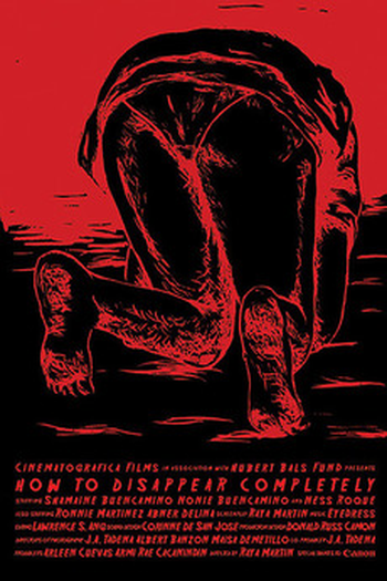 Poster de Filme Como Desaparecer Completamente (2013)