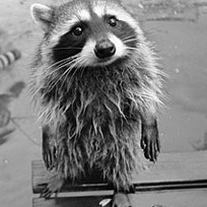 Foto de perfil de Eduarda Neves