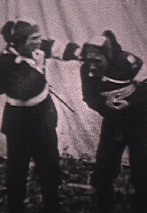 Yaji and Kita: The Battle of Toba Fushimi (弥次喜多 鳥羽伏見の巻)