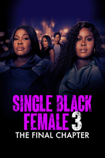 Assistente Duas Caras: O Capítulo Final (Single Black Female 3: The Final Chapter)