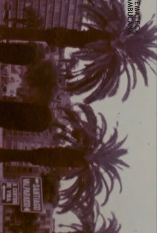 Poster 15 de Curta América Morena I (1977)