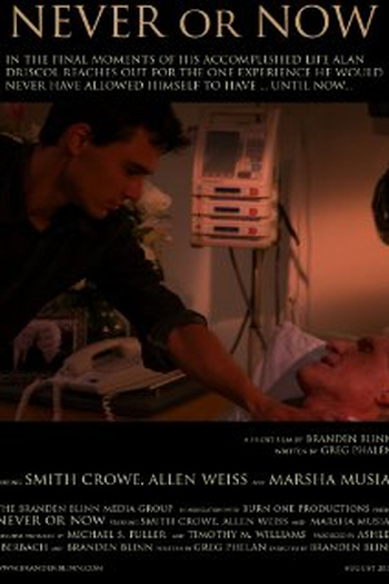 Poster de Curta Never or Now (2014)