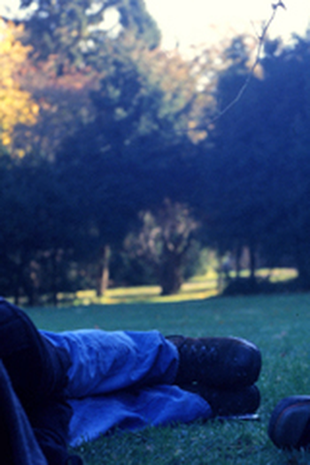  de Filme Finally, Lillian and Dan (2008)