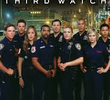 Parceiros da Vida (5ª Temporada)