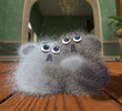 Dust Buddies