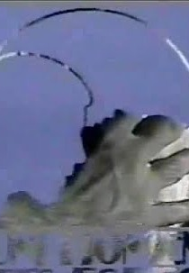 Um Homem Muito Especial  (Um Homem Muito Especial )