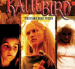 KatieBird *Certifiable Crazy Person