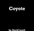 Coyote