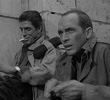 The Old Men