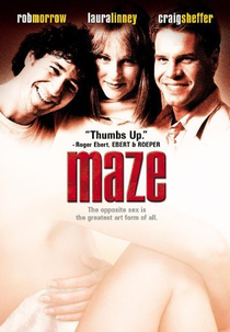 Labirinto de Emoções (Maze)