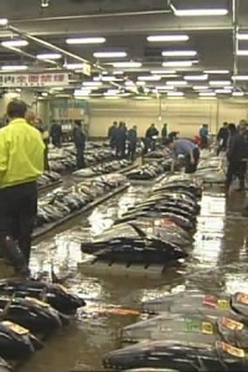 Poster de Episódio Tsukiji Market (2008)
