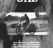 Gaz