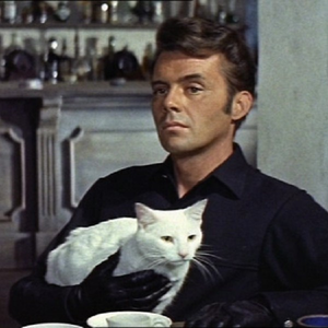 Foto de perfil de Andreia