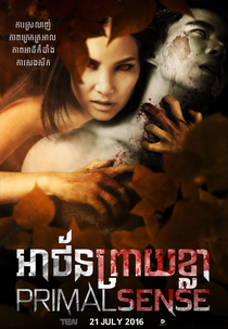 Tiger Women (Primal Sense)