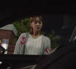 13회