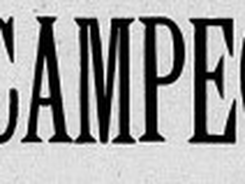 Foto 1 de Miss Campeonato