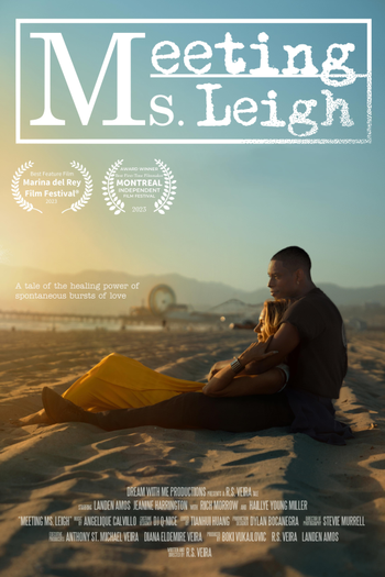 Poster de Filme Conhecendo a Sra. Leigh (2024)