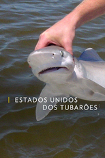 Estados Unidos dos Tubarões (Estados Unidos dos Tubarões)