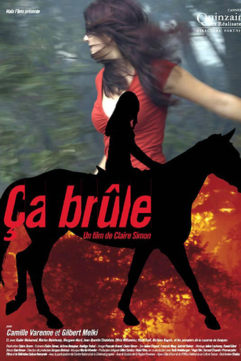 Poster de Filme Pegando Fogo (2006)