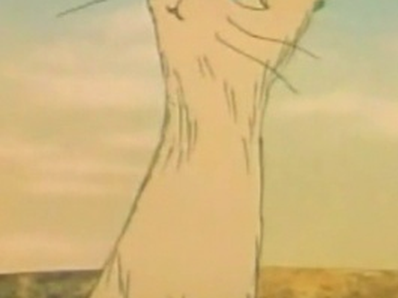 Foto 4 de A Árvore e a Gata