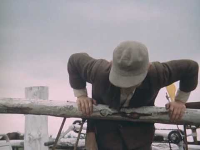 Foto 5 de Jumping Over Puddles