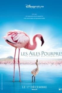 Grande Balé Vermelho: O Mistério Dos Flamingos - Poster / Capa / Cartaz - Oficial 1