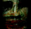Larva mental
