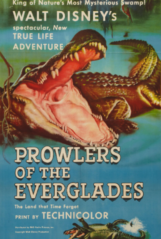 Poster 1 de Filme Os Predadores de Everglades (1953)
