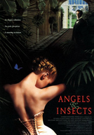 Anjos e Insetos (Angels and Insects)