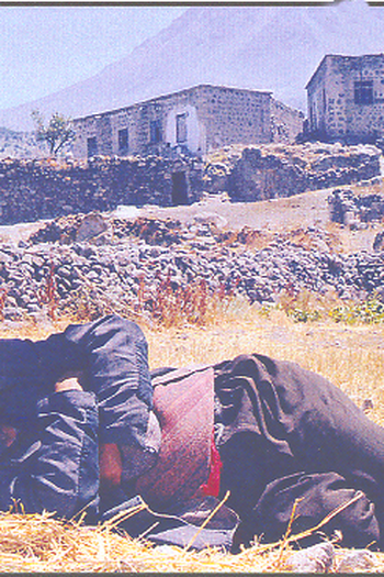 Poster de Curta Ax (1999)