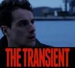 The Transient