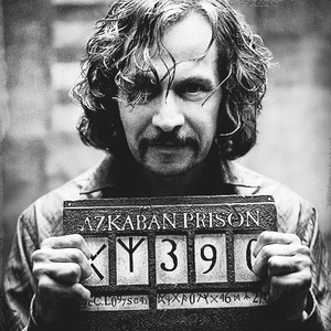 Foto de perfil de João Vitor Medeiros