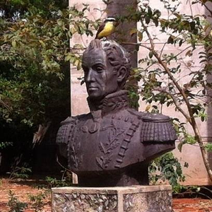 Foto de perfil de Gustavo Batista