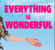 Everything Is Wonderful
