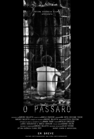 Poster 1 de Curta O Pássaro (2013)
