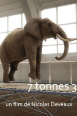 7,2 Toneladas (7 Tonnes 2)