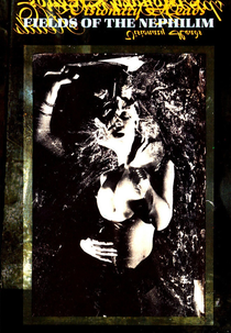 Fields of the Nephilim: Visionary Heads (Fields of the Nephilim: Visionary Heads)